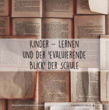 der evaluierende Blick